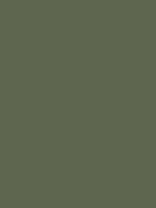 Geripptes Langarmoberteil in Army Green mit luxuriösem Schlüsselloch-Detail. 7